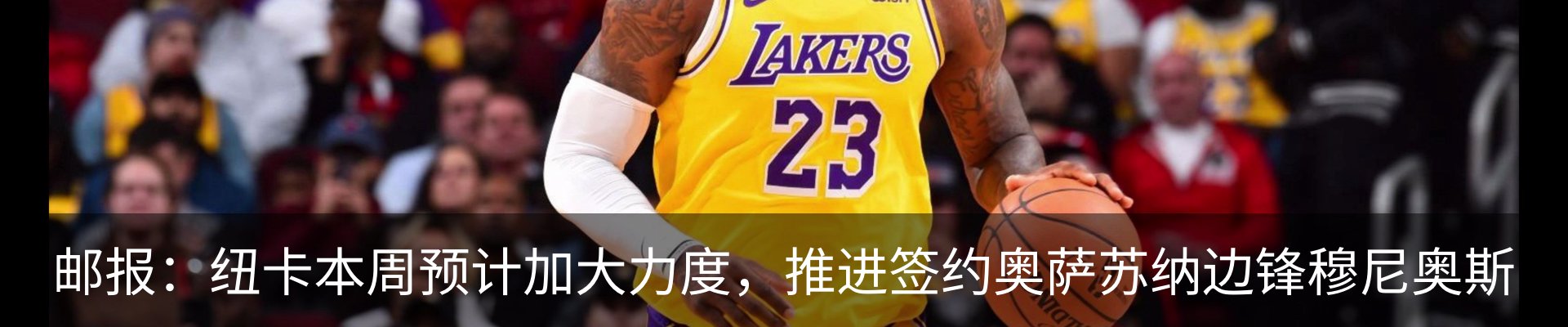 最新动态